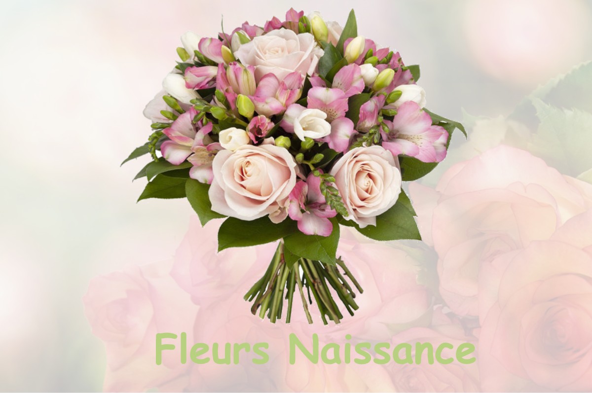 fleurs naissance SAINT-GEORGES-DE-LUZENCON